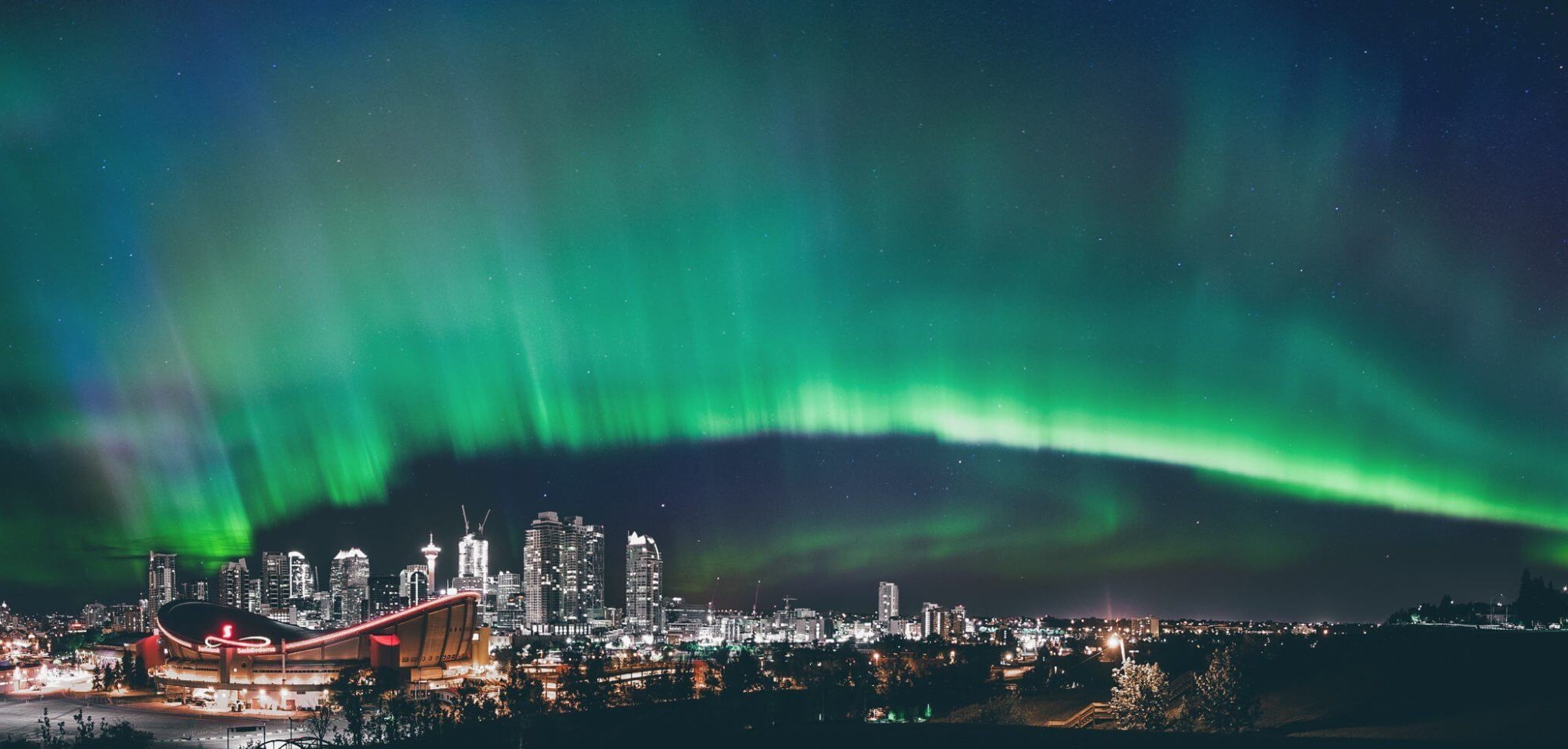 Houses or Condos in Calgary